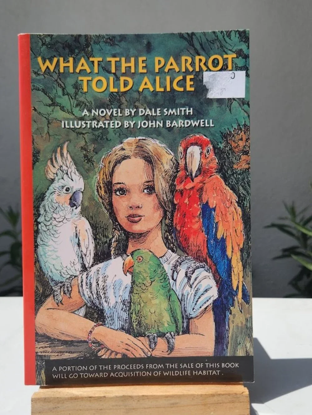 What the Parrot Told Alice Paperback Book by Dale Smith Young Adult Reading Mate